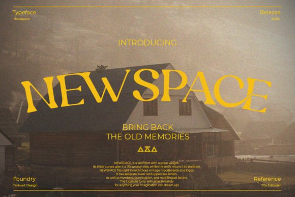 Neat Newspace Font for Your Branding Needs