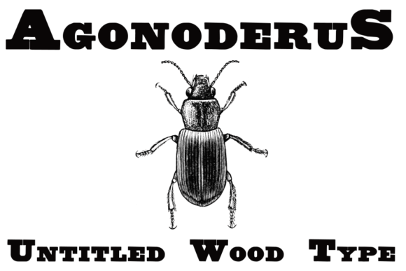 Untitled Wood Type: A Serif Font for Timeless Branding