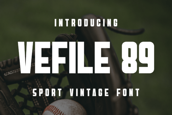 Vefile 89: A Bold Sans Serif Font for Modern Web Design